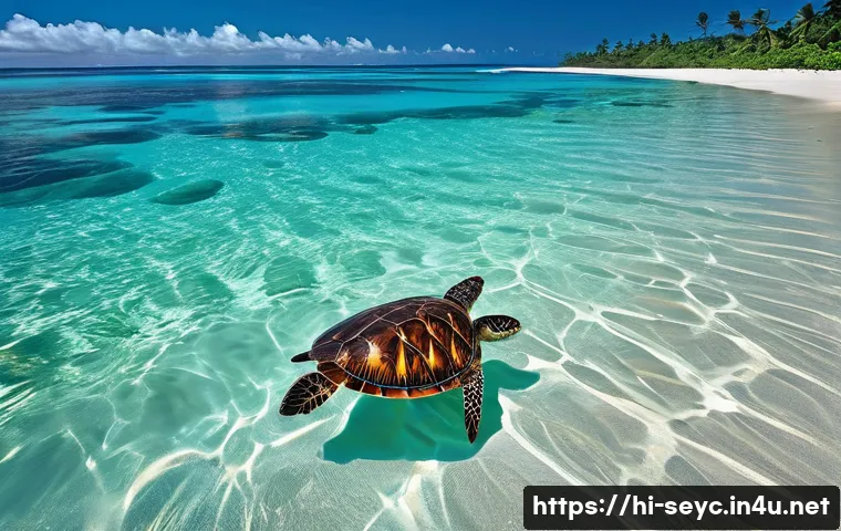 세이셸 해양 쓰레기 문제 - **Image Prompt 1: "The Pristine and the Polluted Coast"**
    A breathtaking, wide shot of a classic...