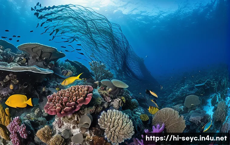 세이셸 해양 쓰레기 문제 관련 이미지 2