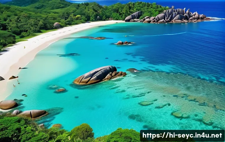 세이셸 관광객 수 통계 - A breathtaking aerial view of Seychelles’ pristine white sandy beaches and crystal-clear turquoise w...